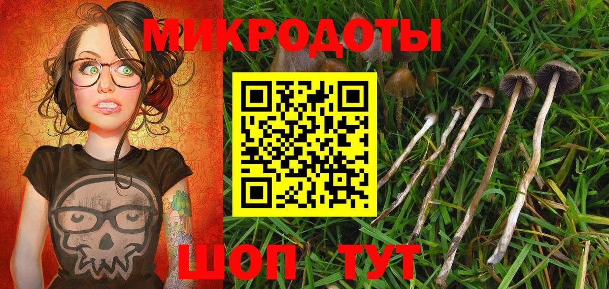 Галлюциногенные грибы MAGIC MUSHROOMS  Вход с VPN  Владикавказ 